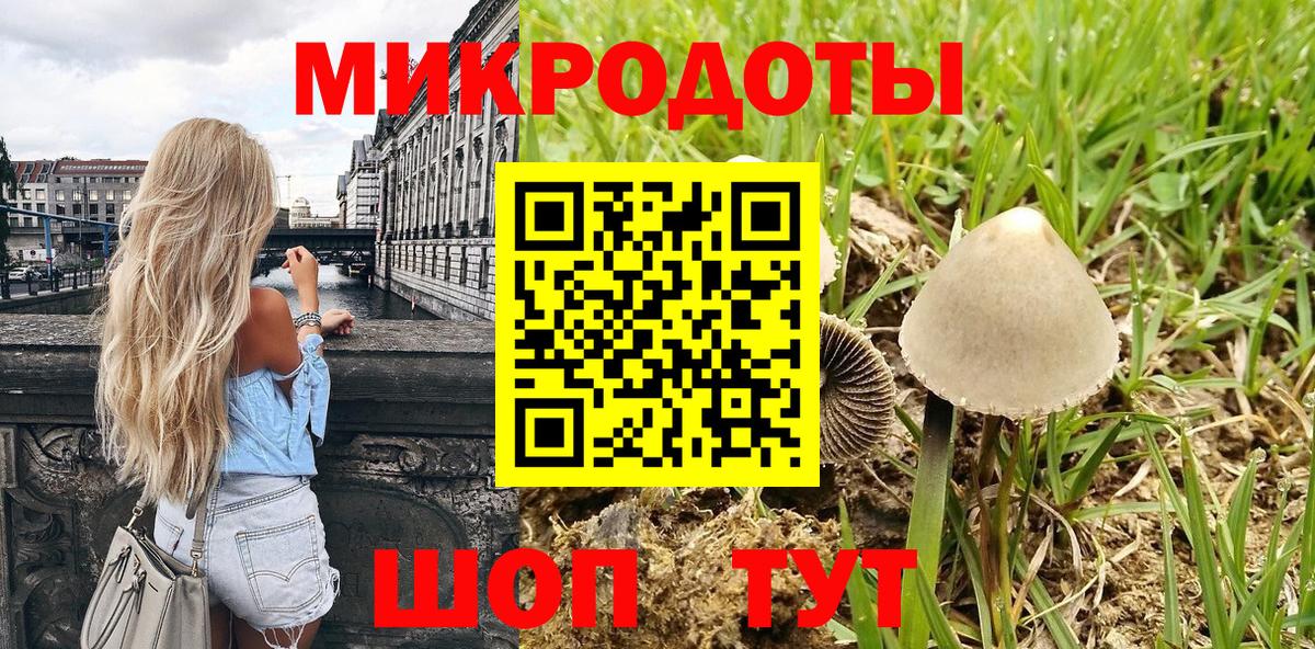 цена   Псилоцибиновые грибы GOLDEN TEACHER  Губкин  Вход с VPN  Галлюциногенные грибы мухоморы 