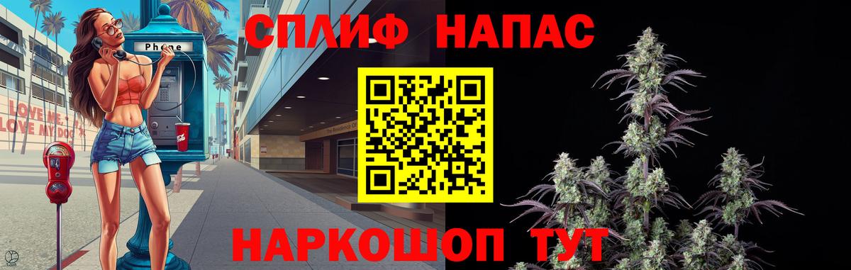Конопля гибрид Губкин